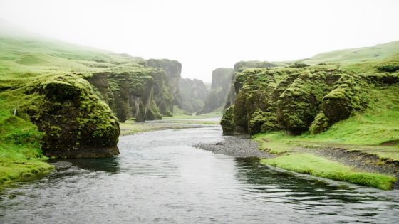 تفسير رؤية النهر في المنام المشي في نهر في الحلم