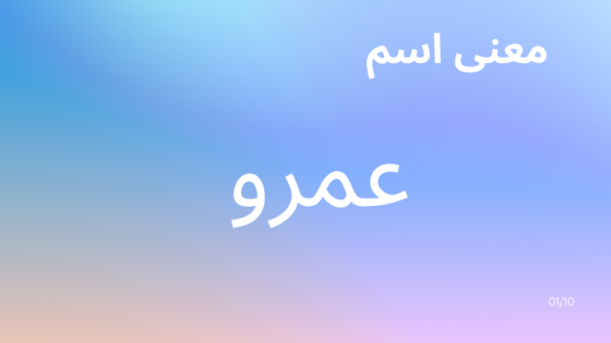 معنى اسم عمرو