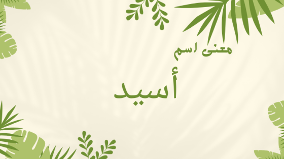 معنى اسم أسيد