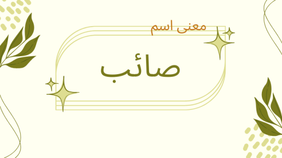 معنى اسم صائب