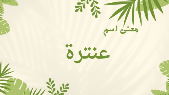 معنى اسم عنترة