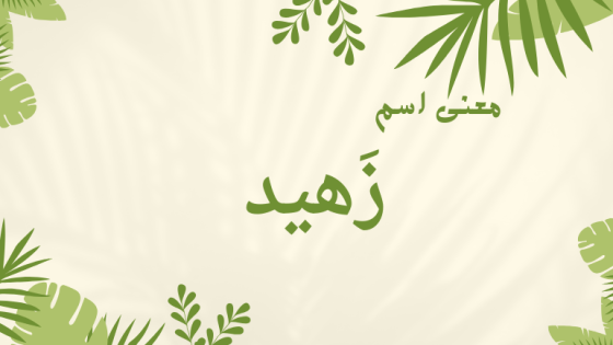 معنى اسم زهيد