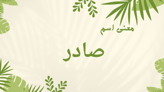 معنى اسم صادر