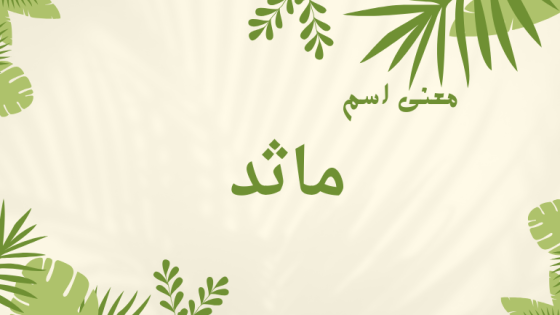 معنى اسم ماثد