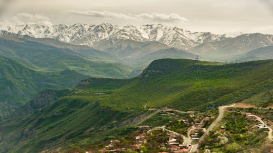 تفسير رؤية الخضرة في المنام