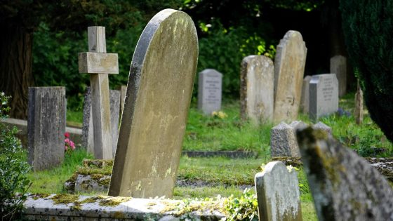 تفسير حلم المقابر للعزباء