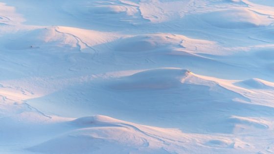 تفسير رؤية البرد والثلج في المنام