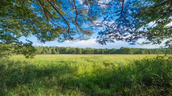 محمية خوسروف فورست الحكومية؛ لنتعرف سويا على أهم المعلومات عن Khosrov Forest State Reserve