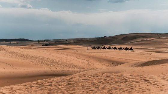 ما عاصمة منغوليا الشعبية