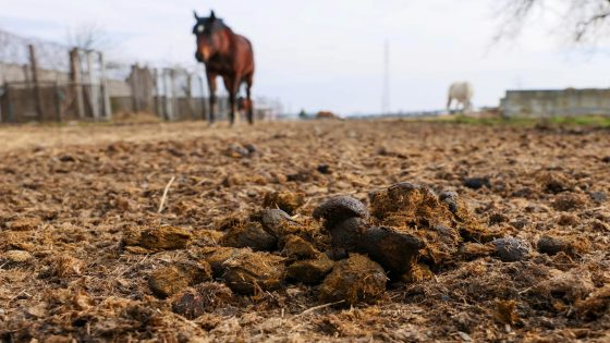 تفسير الحلم بالجماع مع الزوج للحامل