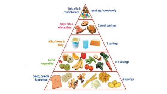 الهرم الغذائي للأطفال بالعربي