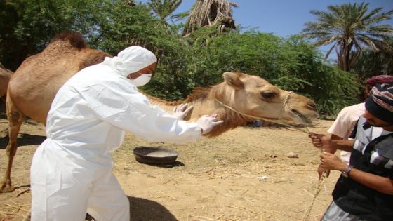 تفسير رؤية البيطري في المنام