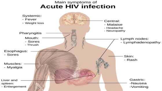 مضاد حيوي لعلاج الغدة النكافية