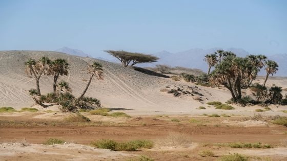 الاماكن السياحية في مدينة العلا