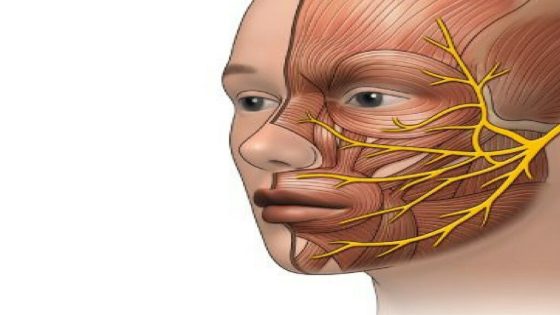 طرق علاج العصب السابع بزيت الزيتون