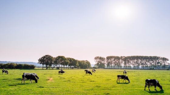 تفسير رؤية العَجَال في المنام