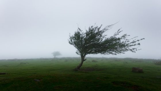 تفسير الرياح القوية في المنام