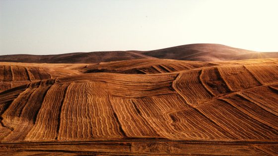 تفسير رؤية الصحراء في المنام وحلم المشي في الصحراء