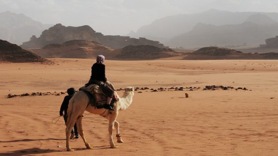 الهروب من الجمل في المنام للمتزوجة